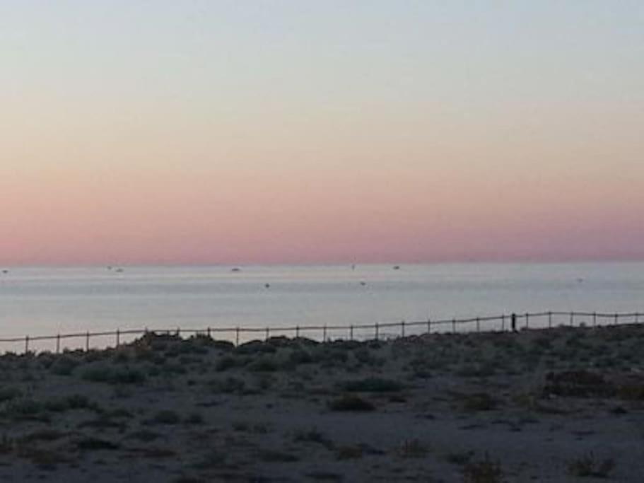 Villa Face A La Mer Sur Le Sable 8 Clim A L'Etage Le Barcares Bagian luar foto
